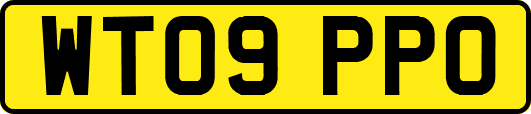WT09PPO