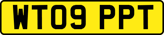 WT09PPT