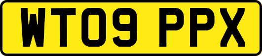 WT09PPX