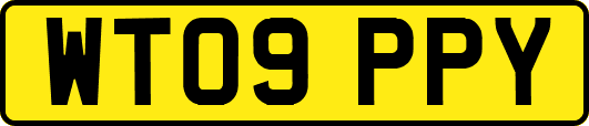 WT09PPY
