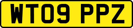 WT09PPZ