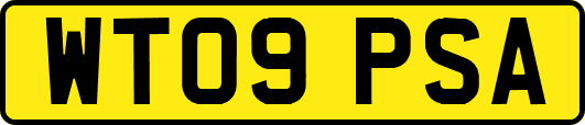 WT09PSA