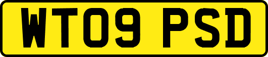 WT09PSD