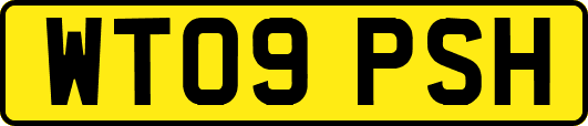 WT09PSH