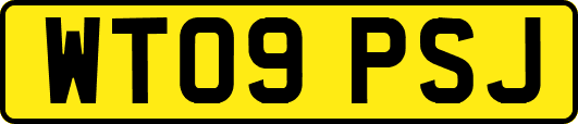 WT09PSJ
