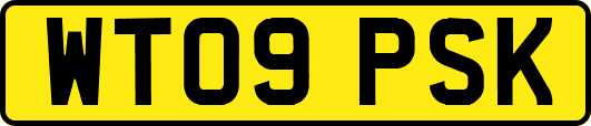 WT09PSK