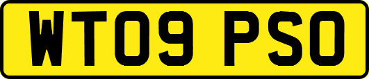 WT09PSO