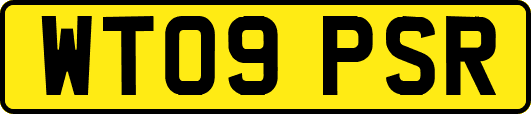 WT09PSR