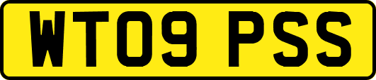 WT09PSS