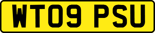 WT09PSU