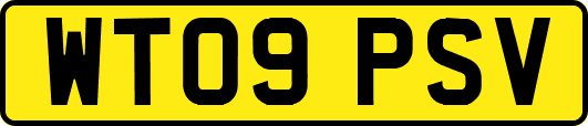 WT09PSV