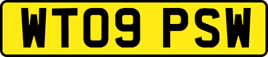 WT09PSW