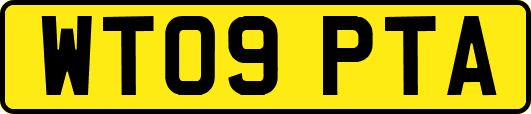 WT09PTA
