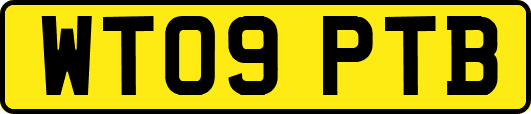 WT09PTB