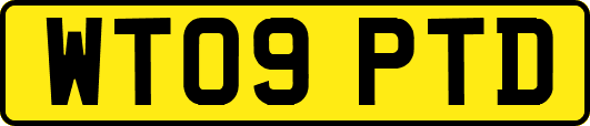 WT09PTD