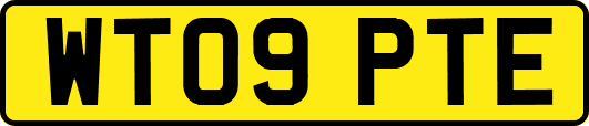 WT09PTE