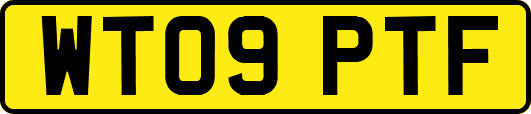 WT09PTF