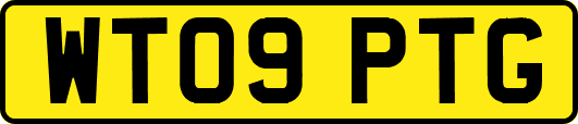 WT09PTG