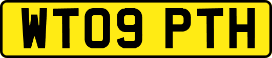 WT09PTH