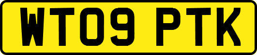 WT09PTK