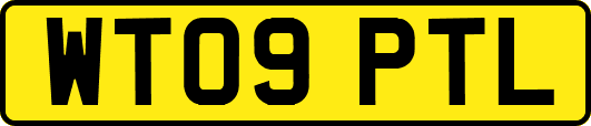WT09PTL