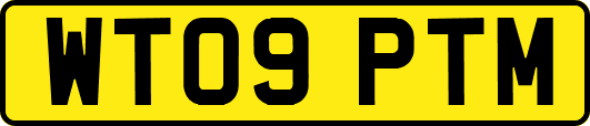 WT09PTM