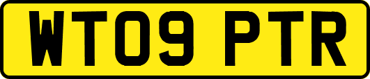 WT09PTR