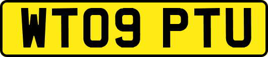 WT09PTU