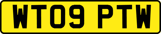 WT09PTW