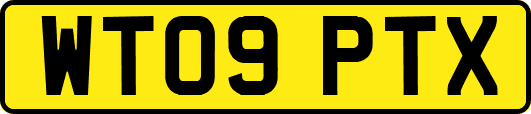 WT09PTX
