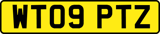 WT09PTZ