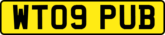 WT09PUB