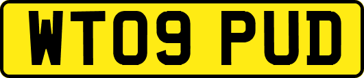 WT09PUD