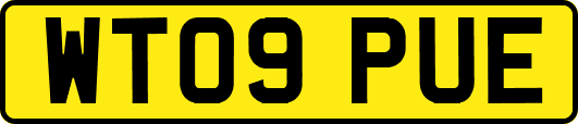 WT09PUE
