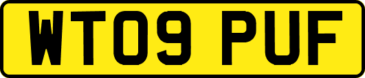 WT09PUF
