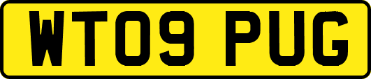 WT09PUG