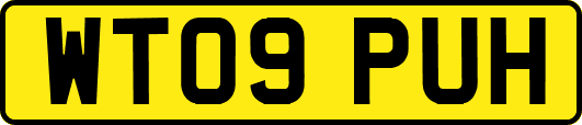 WT09PUH