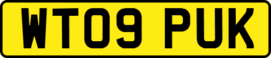 WT09PUK