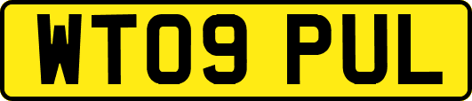 WT09PUL