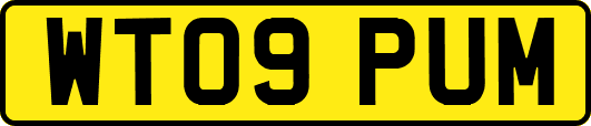 WT09PUM