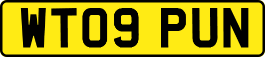 WT09PUN