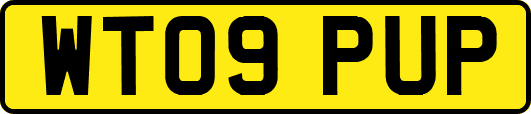 WT09PUP