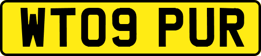 WT09PUR