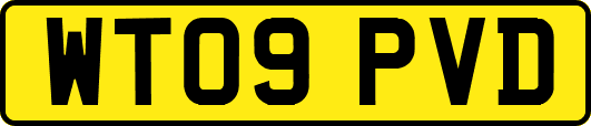 WT09PVD