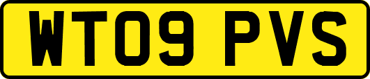 WT09PVS