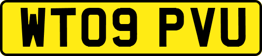 WT09PVU