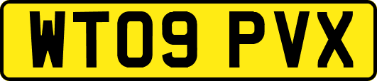 WT09PVX