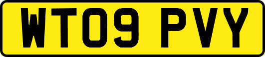 WT09PVY