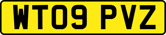 WT09PVZ