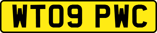WT09PWC